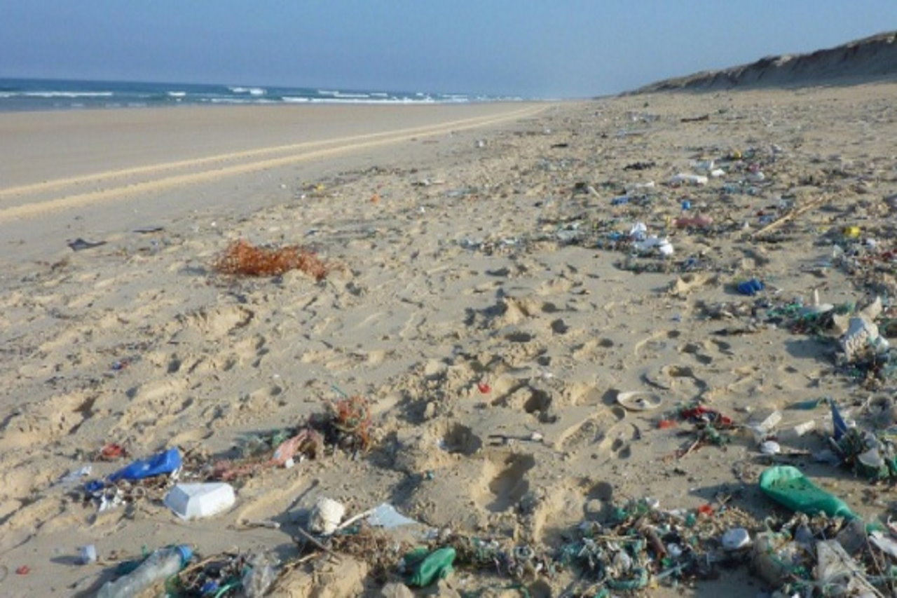 Nie zaśmiecaj plaż podczas urlopu
