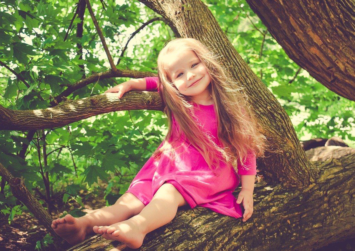 dziewczynka siedząca na drzewie